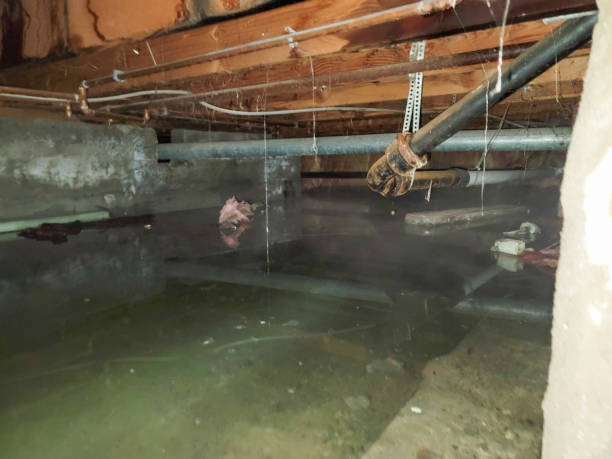 Best Ceiling water damage repair  in Oakley, CA