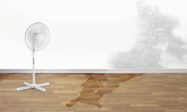 Best Water damage cleanup near me  in Oakley, CA