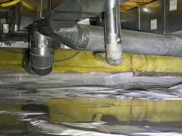 Best Local water damage restoration  in Oakley, CA