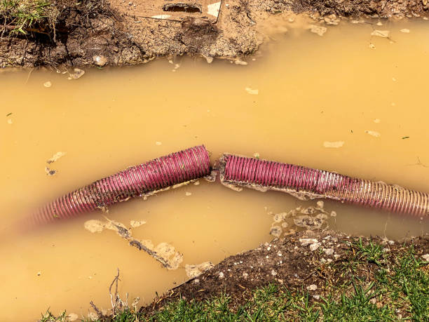 Best Flood damage cleanup  in Oakley, CA